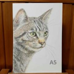 色鉛筆画　絵画　ネコの絵　原画　A4大(約22cm×30cm) Amazon.co.jp: 猫と蝶々 A4サイズ 猫の絵 色鉛筆画 原画 動物画