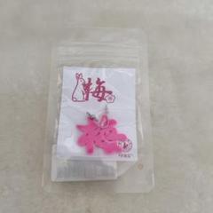 FR2 エフアールツー 梅 ピンク ピアス アクセサリー