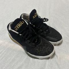 ★希少サイズ★ nike ズームフリーク1 Coming to Americaのサムネイル