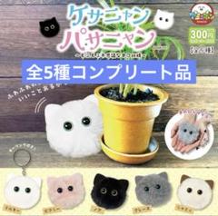 ケサニャンパサニャン 〜もふもふ不思議なネコ妖精〜 全5種コンプリート品