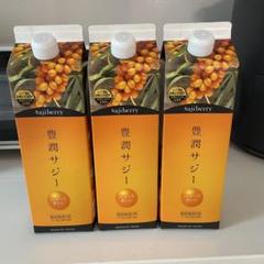 豊潤サジー ☆新品・未開封☆3本セット※期限短めです※ - メルカリ