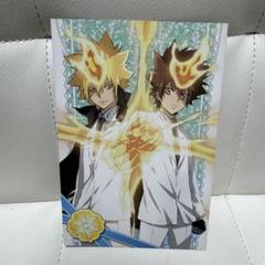 リボーン プリーモ ツナ ツナ＆プリーモ」のアイデア 35 件 | リボーン, 綱吉, 沢田綱吉