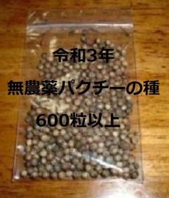 パクチーの種600粒以上