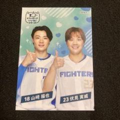 日本ハムファイターズ 日ハム さちとら 山﨑福也 伏見寅威 推し