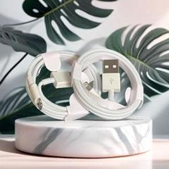 2本1m iPhone 充電器ライトニングケーブル Apple純正品質A1zd7