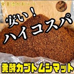 LOカブ楽マット・オレンジ色・240g【カビが発生する転倒防止木材不要】 LOカブ楽マット・オレンジ色・240g【カビが発生する転倒防止木材