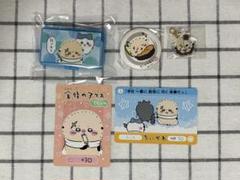 ラッコ　まとめ売り