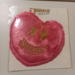 2015 新春　ジャニーズワールド　パスケース　ジャニワ