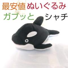 【メルカリ最安】ぬいぐるみ シャチ ガブッとマリンのサムネイル