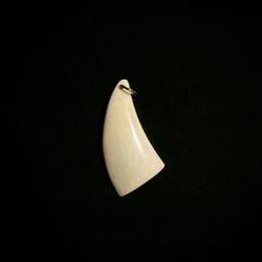 2025年最新】クジラの歯の人気アイテム - メルカリ