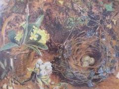 ヴィンセント・クレア 花籠と鳥の巣 図録・レゾネより 額付 ara