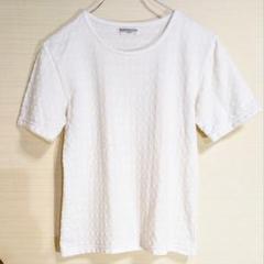Bashecinq Femme ホワイト 織模様ドットボーダー柄 半袖Tシャツ