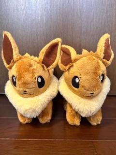 イーブイ ぬいぐるみ 2体セット ポケモンセンター