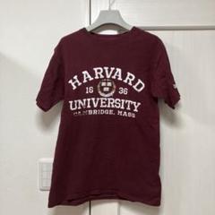 2025年最新】ハーバード大学 tシャツの人気アイテム - メルカリ