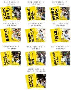 非売品 阪神 2023年優勝ファイル - メルカリ