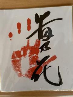 大相撲カード　貴乃花　貴花田　直筆　サイン　カード　ぐるなび　イケおじ 限定販売】 貴花田 貴乃花 大相撲カード 直筆 イケ ぐるなび