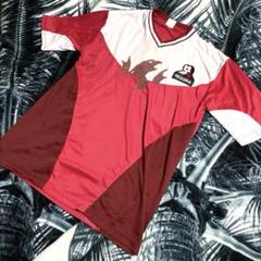 Reggina 1917 セリエA レッジーナ ユニフォーム XL 中村俊輔のサムネイル
