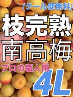 1608❄️クール便【枝完熟南高梅】4L6kg 梅干専用キルトパッチ梅店 1608❄️クール便【枝完熟南高梅】4L6kg 梅干専用キルトパッチ梅