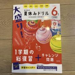 大盛り!夏休みドリル. 小学6年生