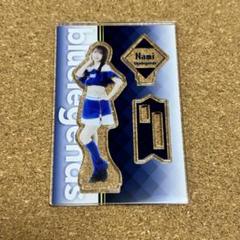bluelegends Mayuko 応援ボード アクリルスタンドキーホルダー bluelegends Mayuko 応援ボード アクリルスタンドキーホルダー