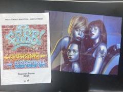 当時物　TLC FanMail & 3D B2ポスター TLC – Fanmail – Cassette (Biobox, Dolby HX Pro, BNR, Album