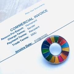 【国連本部入手品】SDGs ピンバッジ 1点 2020年購入 【新品未使用品】