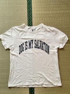 サルセーションウェア新作ＶTシャツホワイト色Ｓサイズ未開封品 2025年最新】サルセーションTシャツの人気アイテム - メルカリ