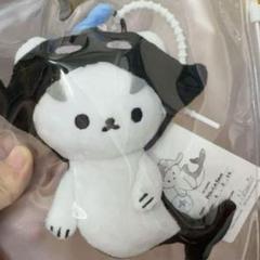2025年最新】Taynew polcasanの人気アイテム - メルカリ