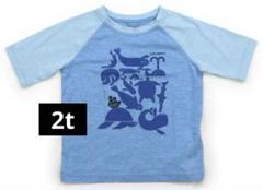 patagonia Tシャツ 2t パタゴニアラッシュガード