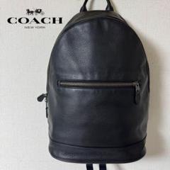 2025年最新】COACH メンズ リュック・バックパックの人気
