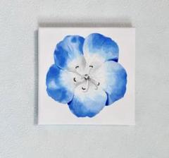 ネモフィラ　原画　アクリル画　手描き