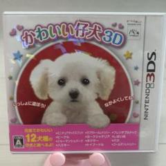 かわいい仔犬3D