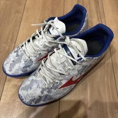 【8/3までお値引中】 Mizuno トレシュー　26.5 ワイド
