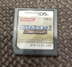 ニンテンドーDS サバイバルキッズ ソフトのみ