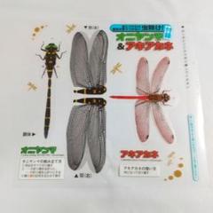2025年最新】akiakaneの人気アイテム - メルカリ