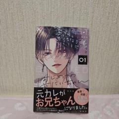 はじめてのおにいちゃん 1
