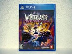 【PS4】ワンダーランズ タイニー・ティナと魔法の世界