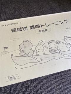 2025年最新】領域別難問トレーニングの人気アイテム - メルカリ