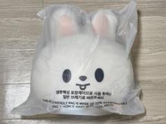 STRAY KIDS x SKZOO Lee Know Plush JYP POP-UP STORE Original CUSHION LEEBIT  NEW | eBay