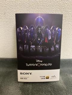 特典付 SONY NW-A55 DisneyTwisted Wonderland ディズニー ツイステッドワンダーランド』デザインのワイヤレス