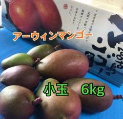 土曜、日曜日限定 宮古島産マンゴー 7kg ¥6,400 JH001《先行予約 2025年発送》宮古島産マンゴー1㎏【㈱フラモン