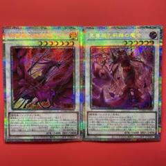 遊戯王　黒薔薇の破滅竜　黒薔薇と荊棘の魔女　プリシク　各1枚　DOOD