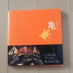 亀 亀の写真集 いきものアート➂