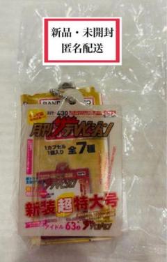【新品・未開封】 月刊ザテレビジョン　キーホルダー　カプセルトイのサムネイル