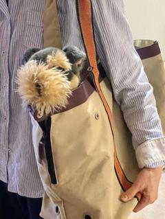 【値下げ】ペットキャリーバッグ(小型犬猫用)