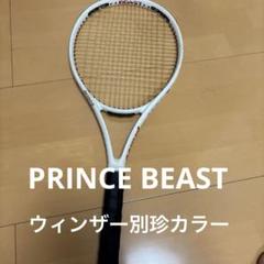 prince BEAST 100 プリンス ビースト 280g テニス