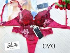 新品タグ付】wacoal／サルート❤︎世界遺産スペイン❤︎P-UPブラC65M