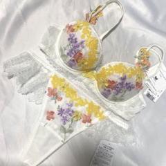 新品タグ付】ワコール／＊PARFAGEブラセットE65M（定価¥14，630）