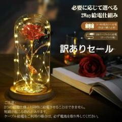【一点モノ】 枯れない花 インテリア 玄関 飾り ライト led おしゃれ 置物