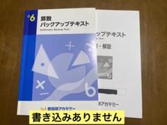 2025年最新】早稲田アカデミー 小6 バックアップテキストの人気